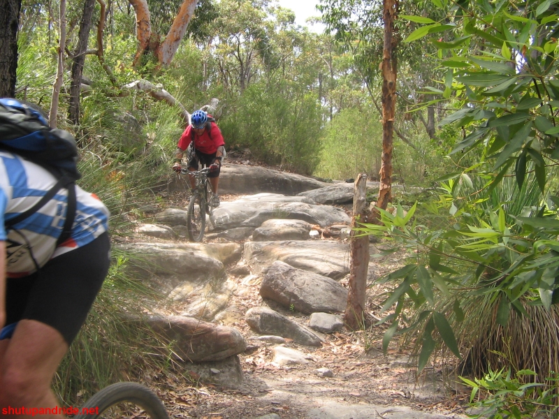 20061210-Lindfield 048 